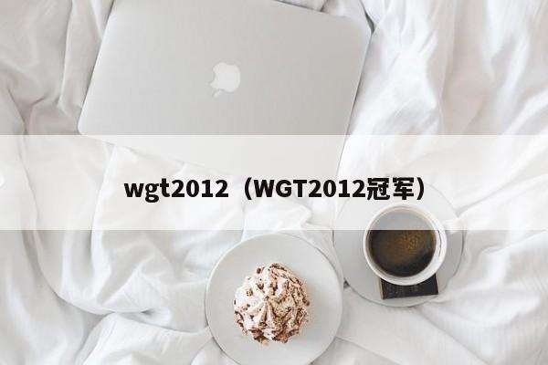 wgt2012（WGT2012冠军）